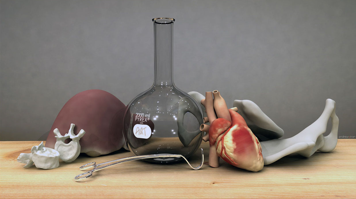 3D models of various biomedical objects