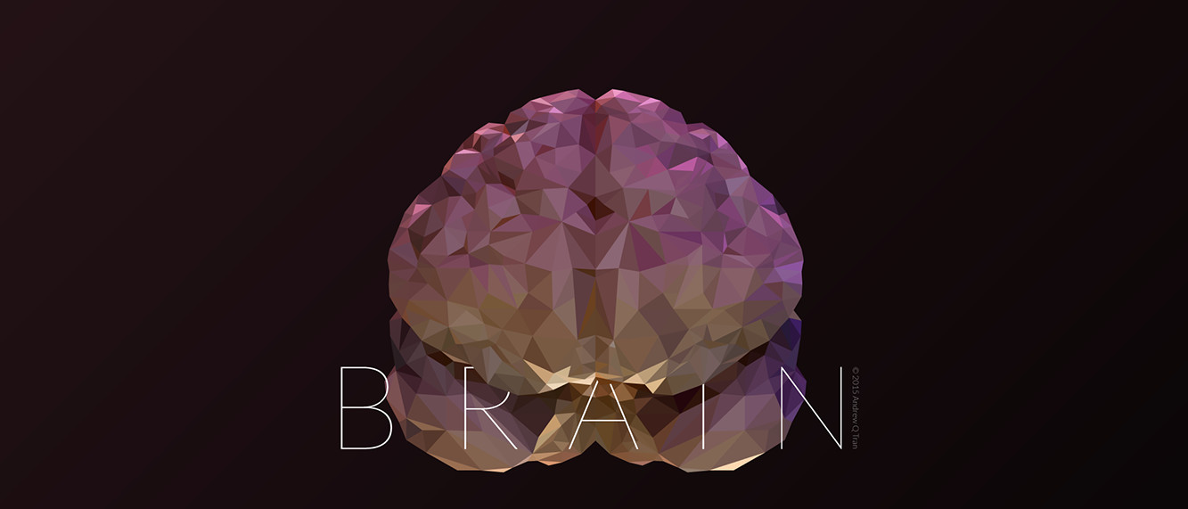 Low-poly illustration of a brain