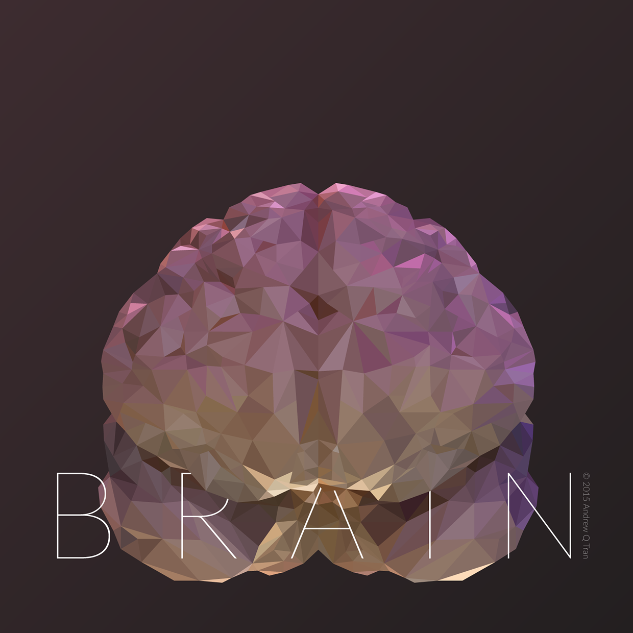 Low-poly illustration of a brain