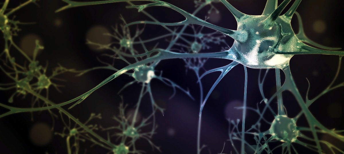 3D neurons in a dark environment