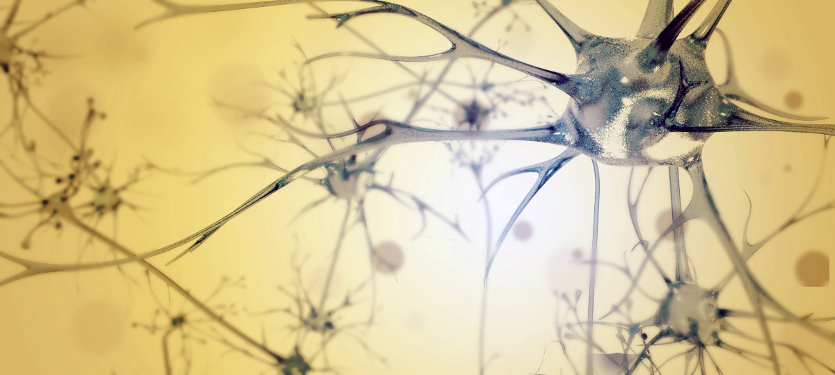 3D neurons in a light environment